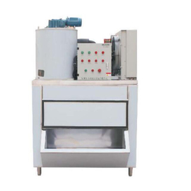 0.3T/24H Small Flake Ice Machine 