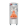  Commercial Batch Freezer Hard Ice Cream Maker